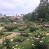 Les apprentis BP Aménagements Paysagers découvrent les parcs et jardins de Rennes.