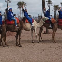 Bac Pro Vente au Maroc